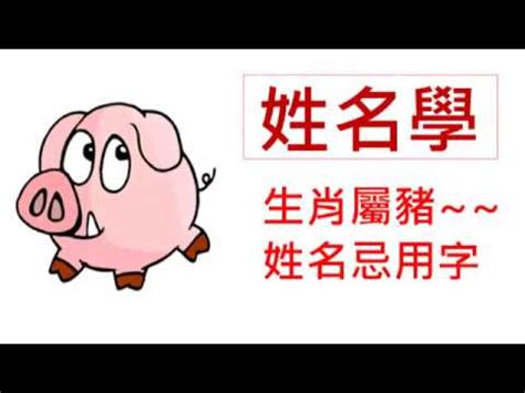 屬豬姓名學|生肖姓名學.....屬豬的人：適合與不適合的字